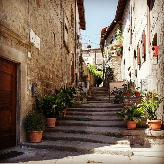 Residenza Turistica Di Via Delle Caiole 32 Viterbo Dış mekan fotoğraf